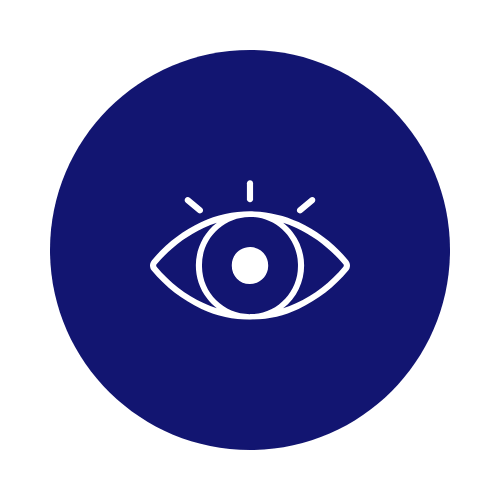 Imagen Visión